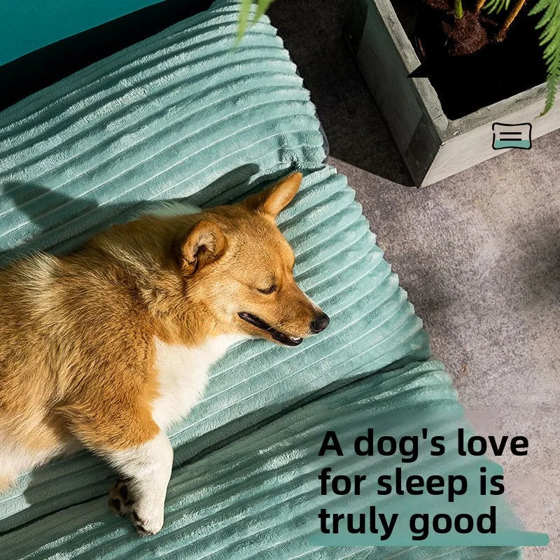 Sba46acb0f7664355bacee4a363120d6fs